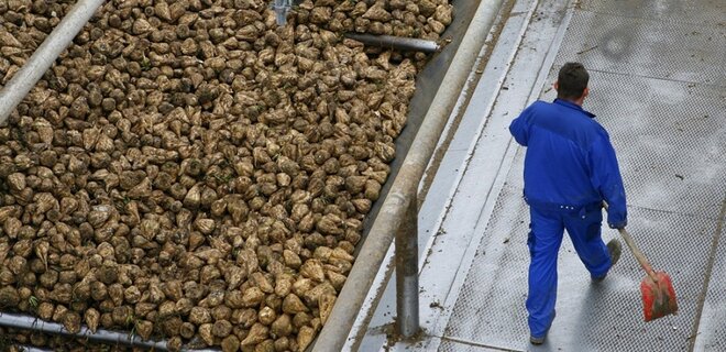 Фермерів у Франції попросили не збільшувати посіви буряку. Бояться конкуренції з Україною - Фото
