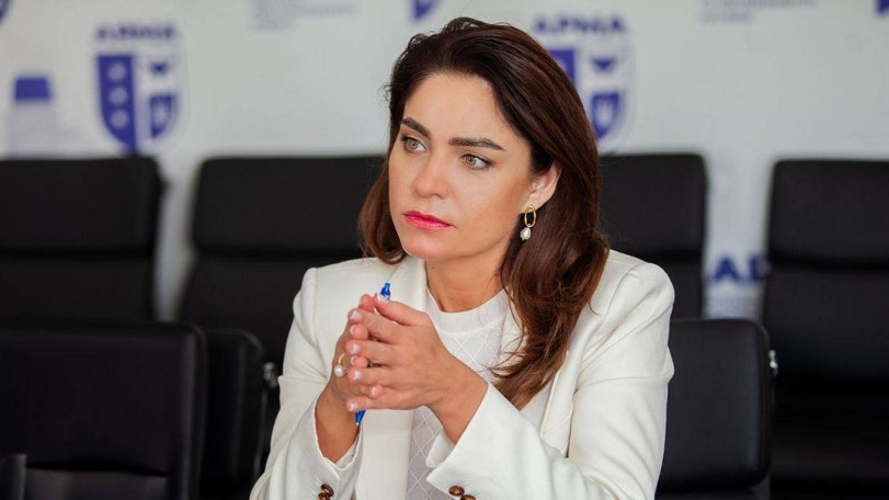 Глава АРМА Елена Дума о критике, конфликте с Нафтогазом и привлеченных в бюджет деньгах - Фото