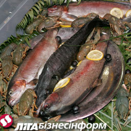 Рестораны Киева увлеклись морепродуктами