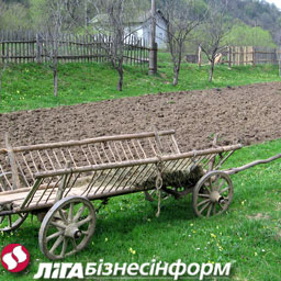 Аграрный рынок Украины: итоги 2008 года