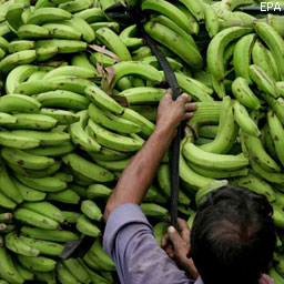 Рынок бананов показывает высокую устойчивость к кризису