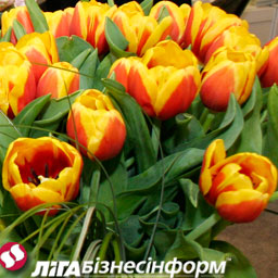 Цветочный бизнес в Украине: перспективы развития