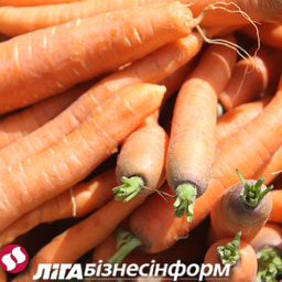 Цены на овощи в Украине снижаются