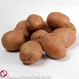Импорт картофеля в Украину в 2010 г. стал рекордным