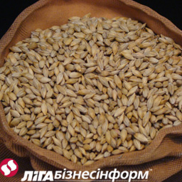 Рынок зерновых и масличных: цены и тенденции (2-8.02)