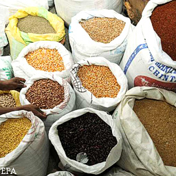 Цены на кукурузу, пшеницу и сою достигли максимума 2008 года