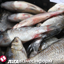 Вылов рыбы в Украине в 2010 г. снизился на 10%
