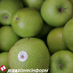 Экспорт яблок из Украины сильно вырос
