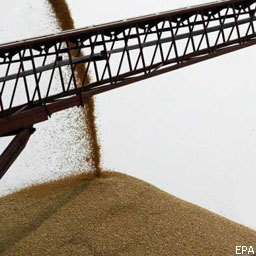 Украина закупила 860 тыс. тонн зерна нового урожая