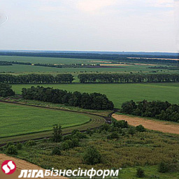Янукович: Рынок земли заработает с 2012 года